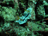 PA130011.JPG