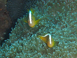 PA140236.JPG