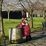 _DSC0184.NEF _DSC0184.NEF