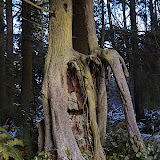 _DSC0115.NEF _DSC0115.NEF