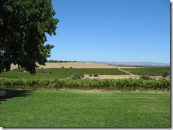 Coriol Winery's View 3