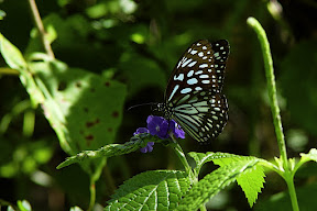 dsc00592.jpg