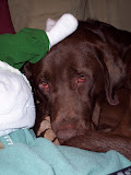 100_0604.jpg