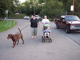 100_3502.jpg