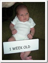 1 wk old 012