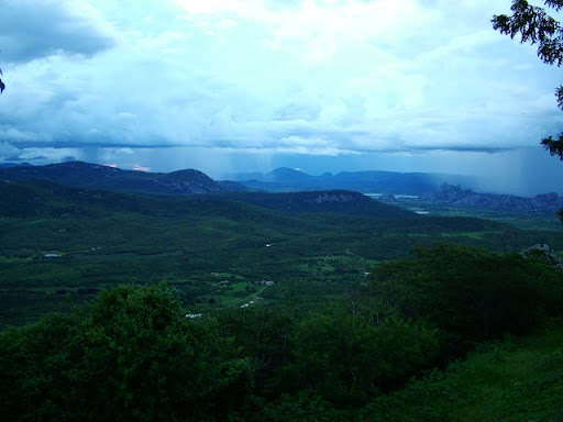 DSCF7239