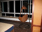 IMG_0807.JPG
