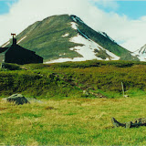 Sarek 2000