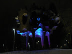 P1020807.JPG