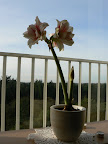 P1020725.JPG