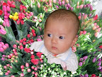 Minh_Tulips-1.jpg
