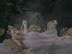 S5001035.JPG