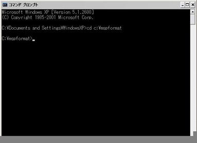 mspformat02