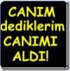 can