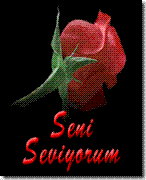 seniseviyorum