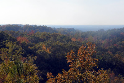 “view