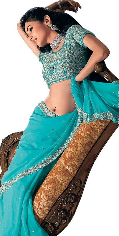 Indian Beautiful Fancy Dress: Sarees, sari ERA732c.jpg