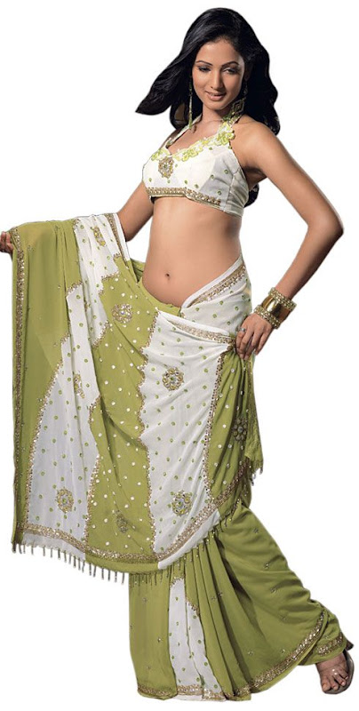 Indian Beautiful Fancy Dress: Sarees, sari ERA862c.jpg