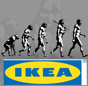 ikea evolution.jpg