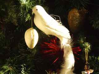 Christmas Dove.jpg