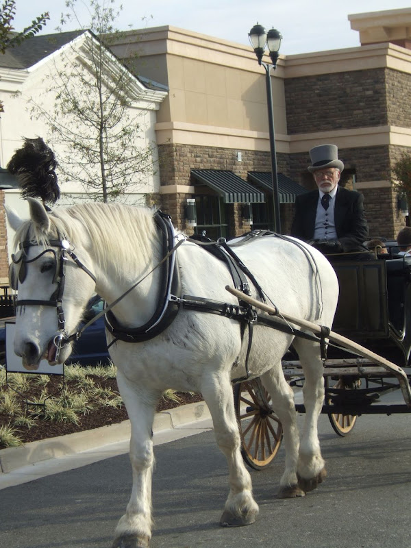 Sliegh bells ring (horse and carriage).jpg