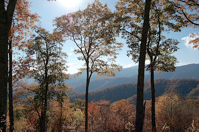Tennessee Mountain Air