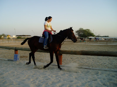 am riding an Arabian horse