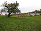 IMG_4339.jpg