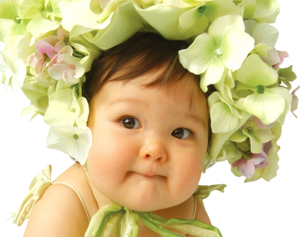 Image113.png