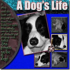 A-Dog's-Life