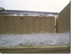 Ice Storm of 2008 025
