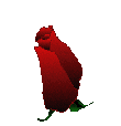 FLOR1111.png