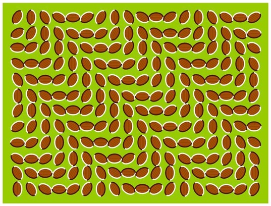 Illusione Ottica (26)