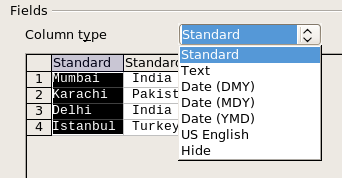 Column options for text to columns feature