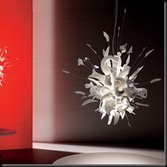 429328706_207b10929e_o