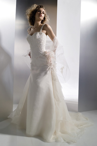 Wedding Bridal Gown 2011