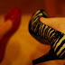 Women Dress Shoe' Zebra Print