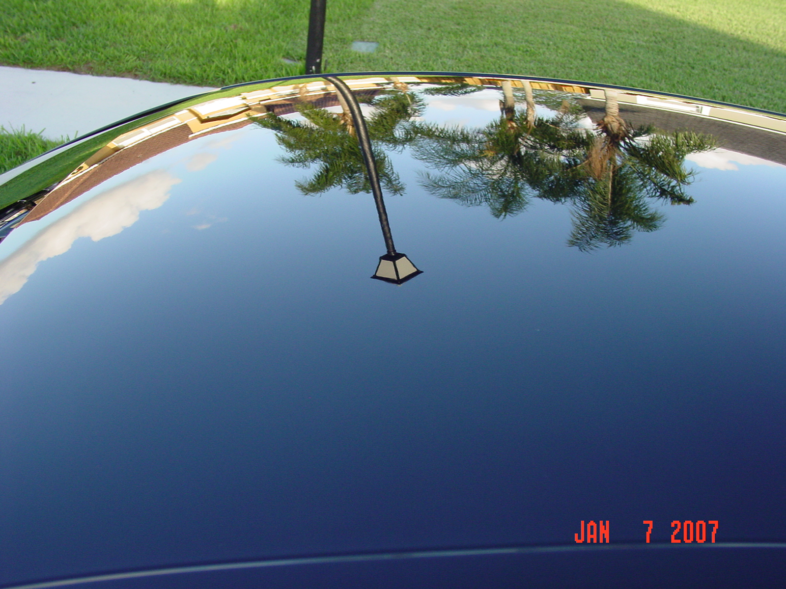DSC09877.JPG
