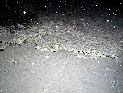 Snow pic 1