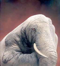 OPTICAL ILLUSIONS BY ROBOT   IT'S TRUE !! | MESSENGER XPRESS, An 