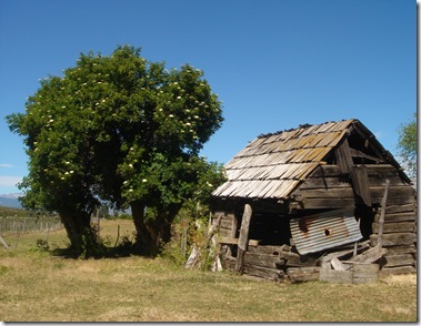 buch-cassidy-casa-patagonia-argentina-cholila