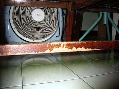 [DOG]超級破壞王－豆豆戰績記實！ - 阿祥的網路筆記本