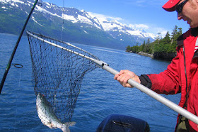 Katie's boyfriend Steve boats another sockeye