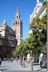 DSC04000