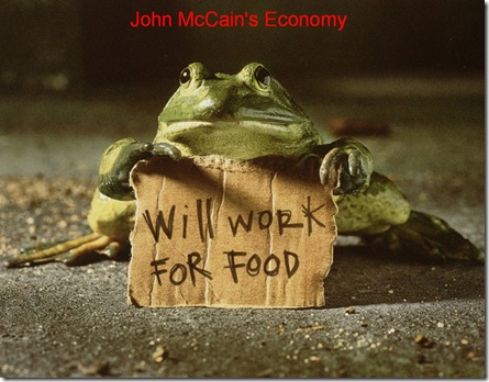 McCains Economy  2