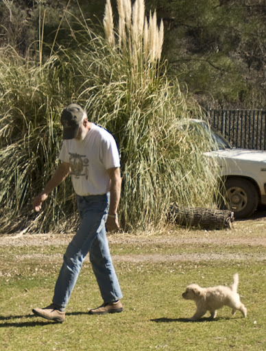 DSC_0082%20%20cody%20following%20his%20master%20dave%20around%20en%20az.jpg