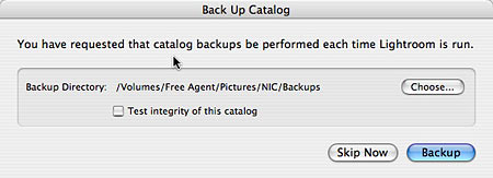 Do I Need To Keep Lightroom Backups : Lightroom Tipp 009 Lightroom Backup Erstellen Und Sichern : Make a note of catalog contents including the number of photos.