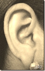 Ear