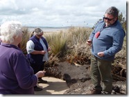 looking at soil profile under the eroded saltmarsh