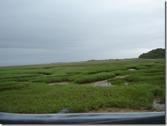 578785969_85517aa3a1